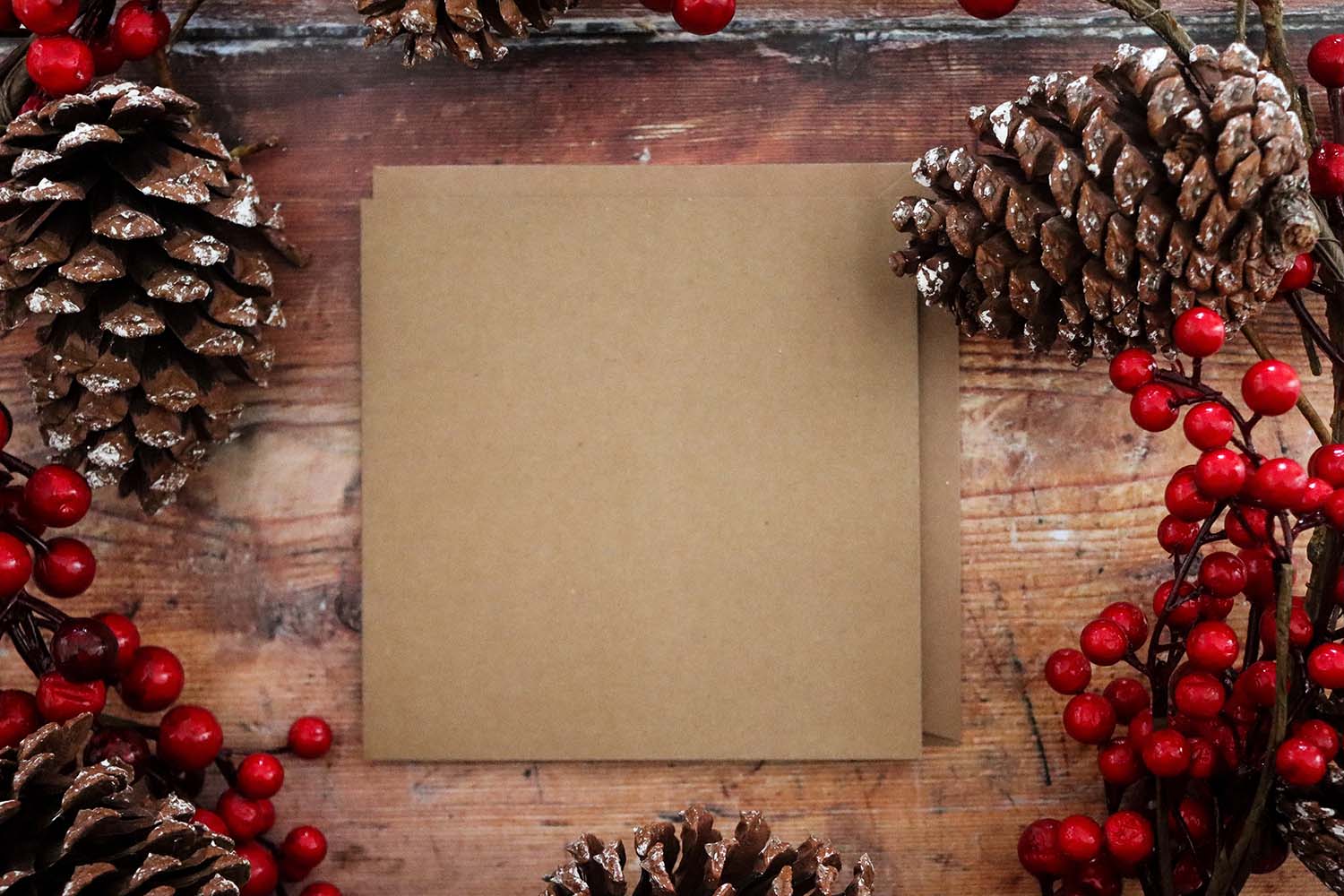 Holiday Direct Mail Folds and Dielines